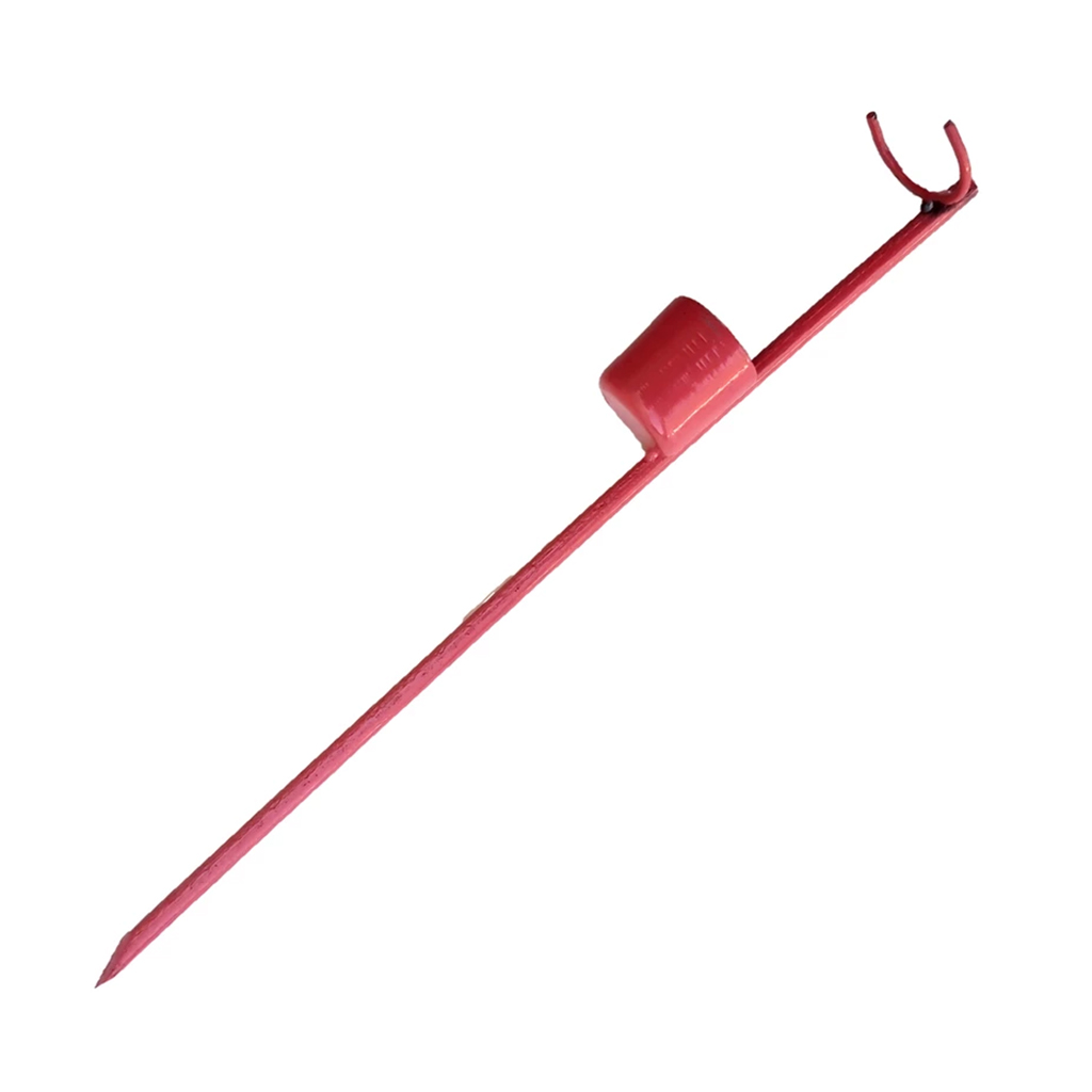 شطشززشز
